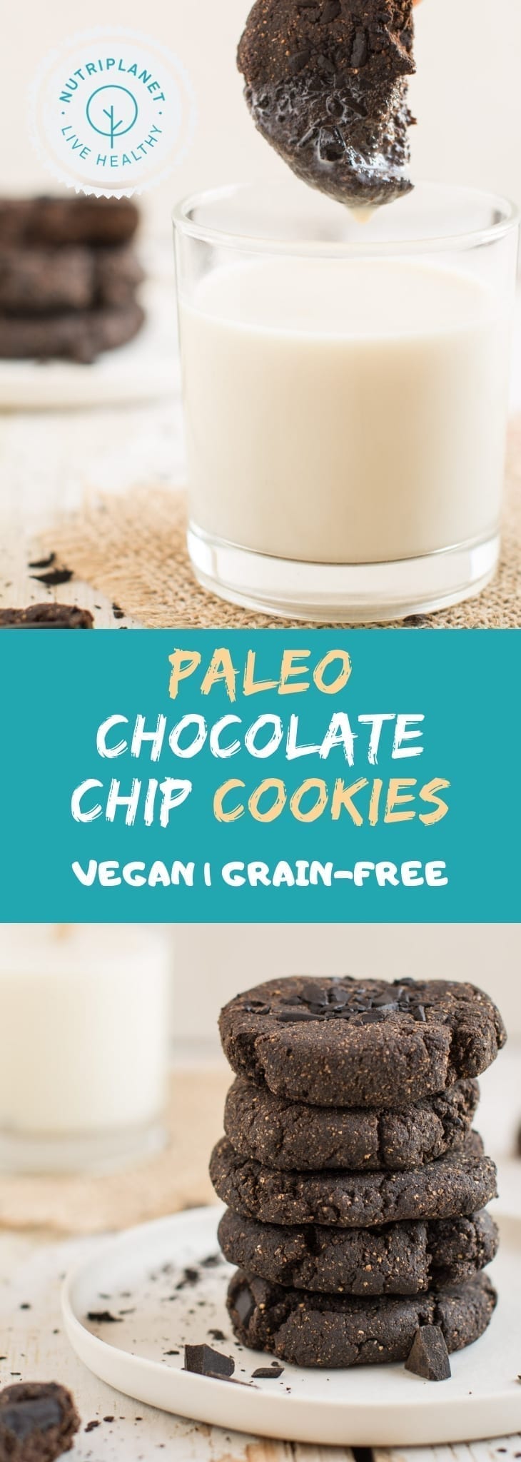 Vegan Paleo Chocolate Chip Cookies without Cocoa