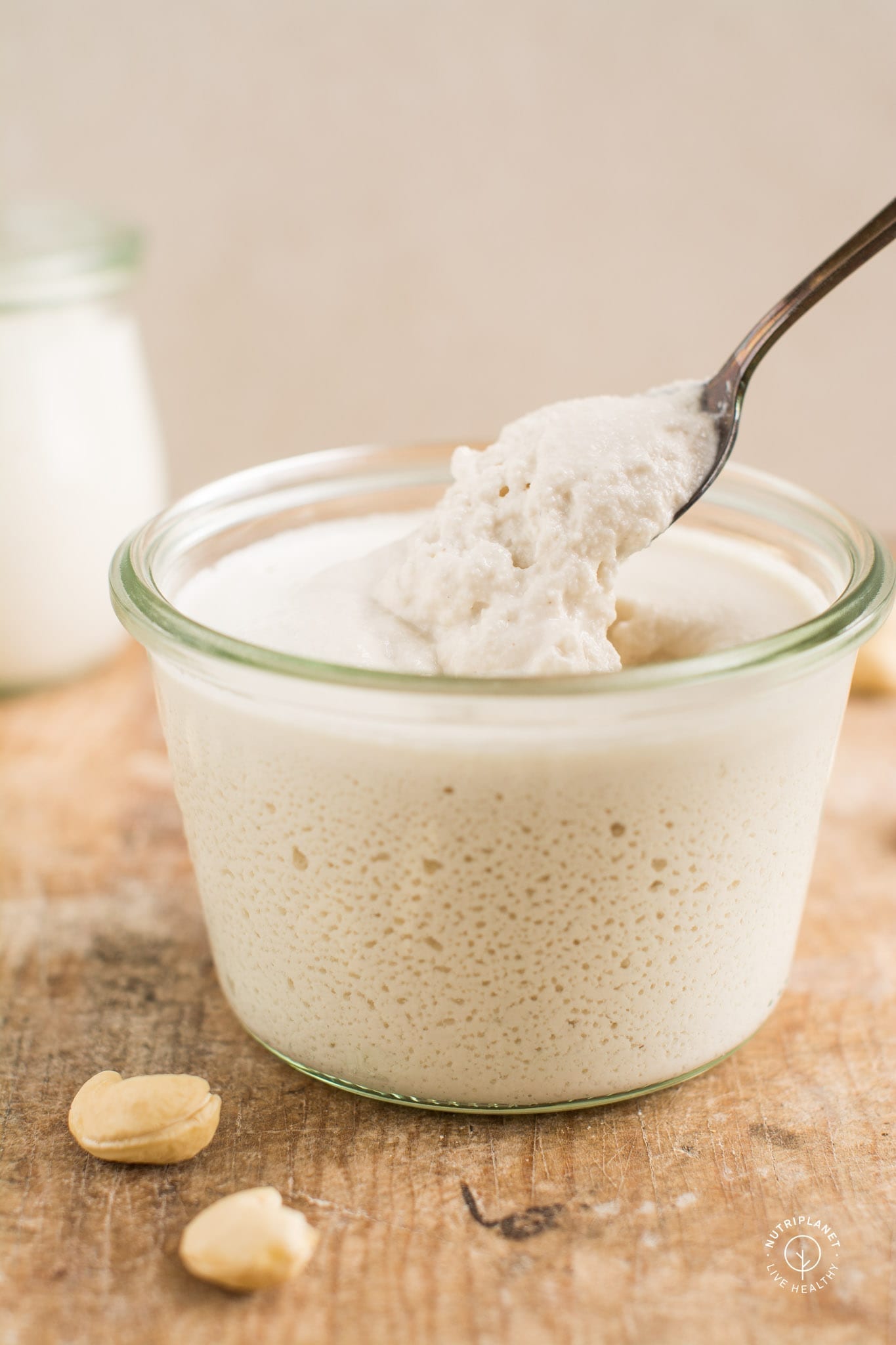 Rich and creamy 3-ingredient homemade cashew yogurt without yogurt maker.