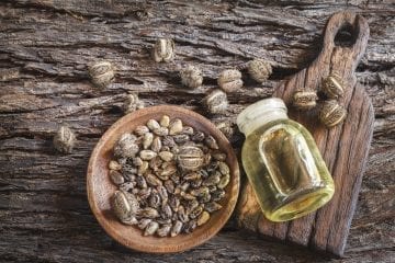 fruit and castor oil on the wooden table - Ricinus communis