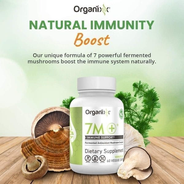7M+ - Anti-Aging Mushroom Supplement - Image 3