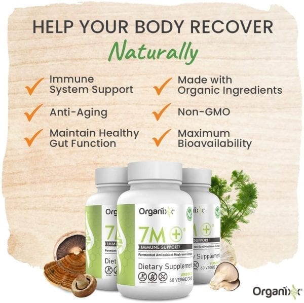 7M+ - Anti-Aging Mushroom Supplement - Image 2