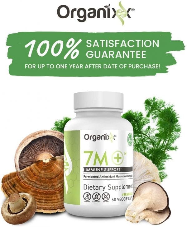 7M+ - Anti-Aging Mushroom Supplement - Image 4