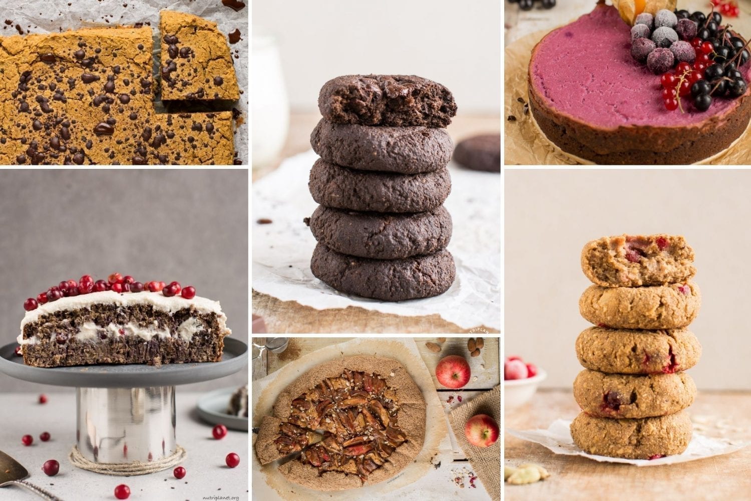 Holiday Dessert Recipes: Healthy, Vegan, Refined Sugar Free | Nutriplanet