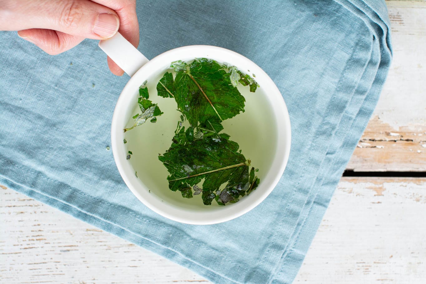 Fresh peppermint tea