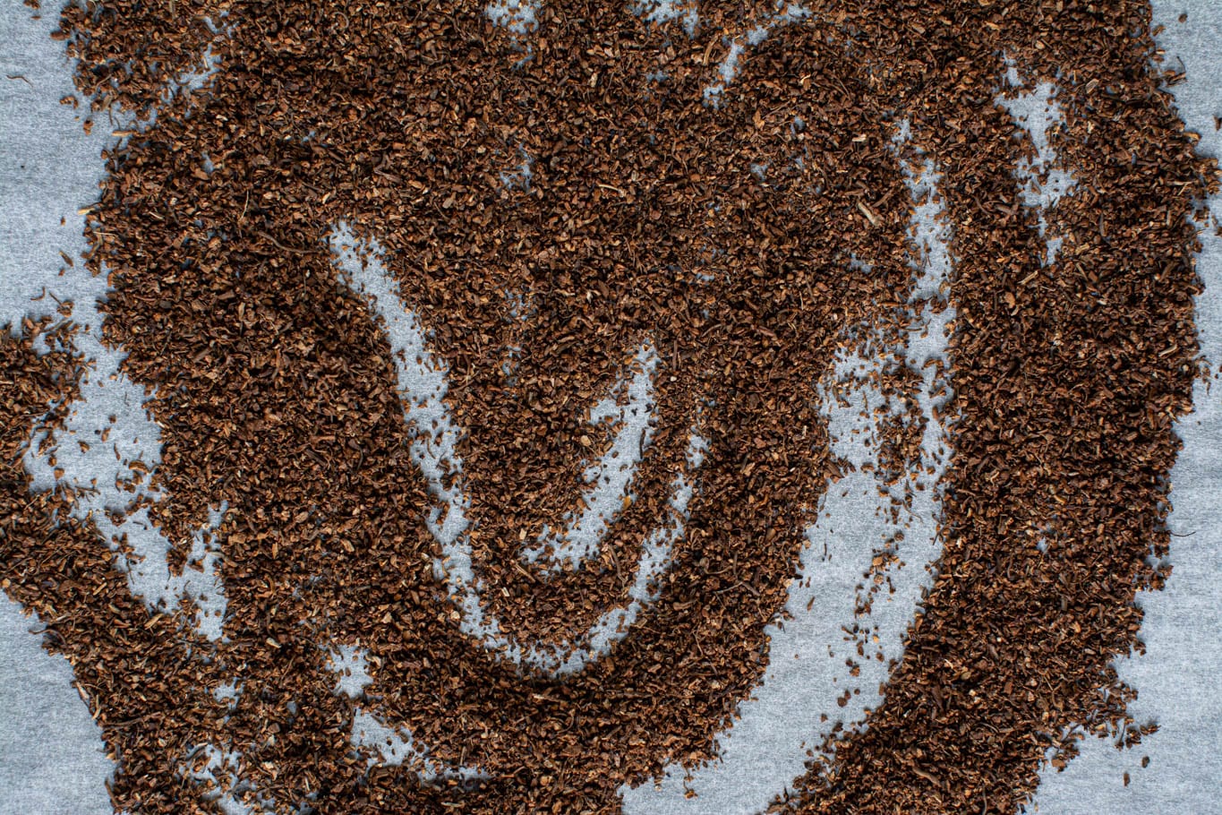 Roasted dandelion root to make dandelion root coffee