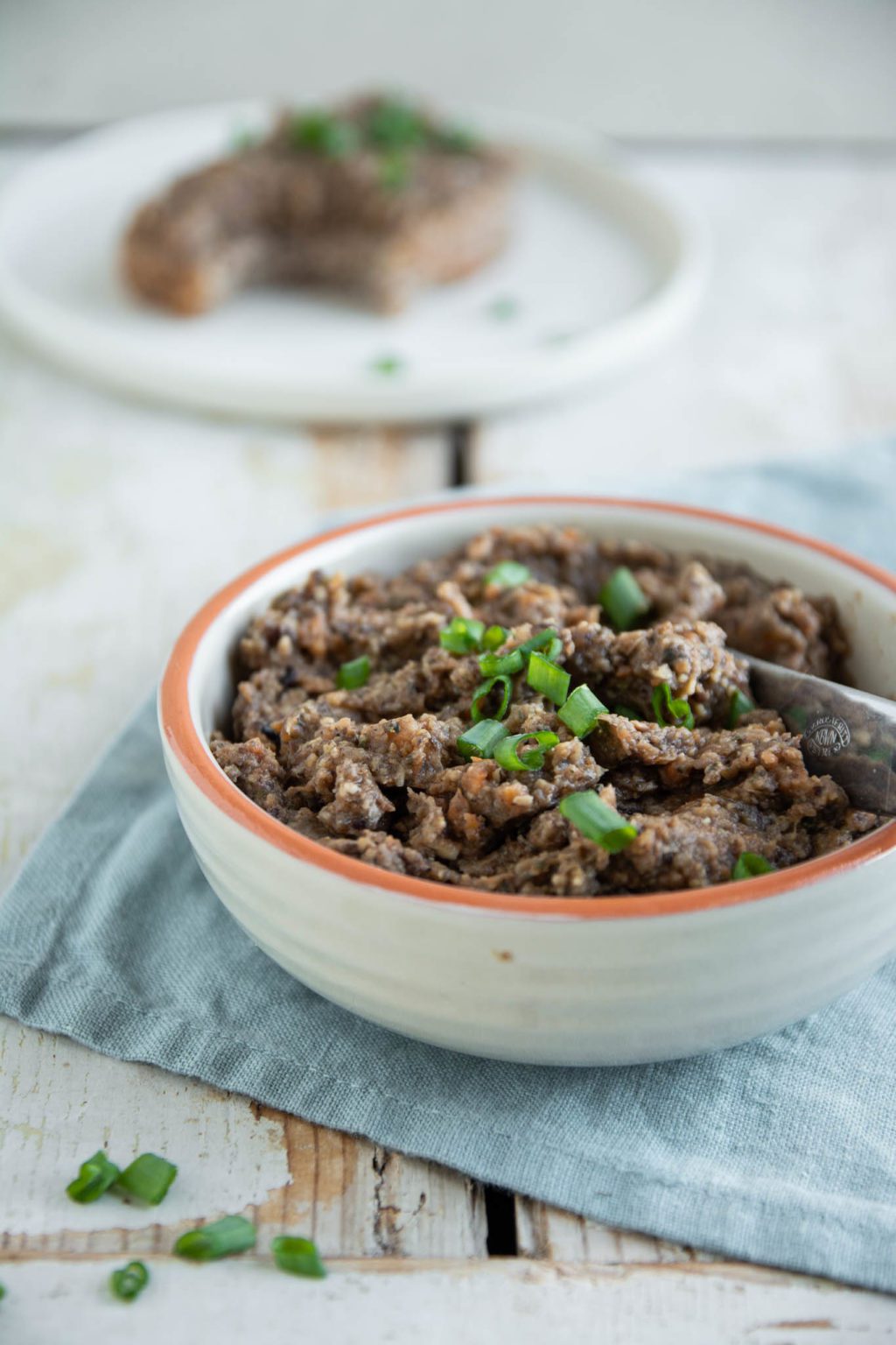 Vegan Candida Diet Meal Plans The Ultimate Bundle