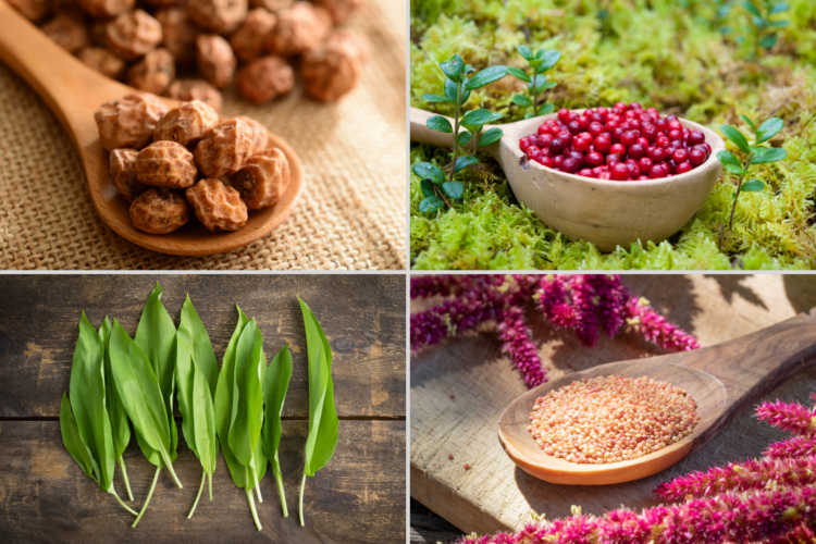 Uncommon Superfoods to Add to Your Diet: Benefits, How to Use